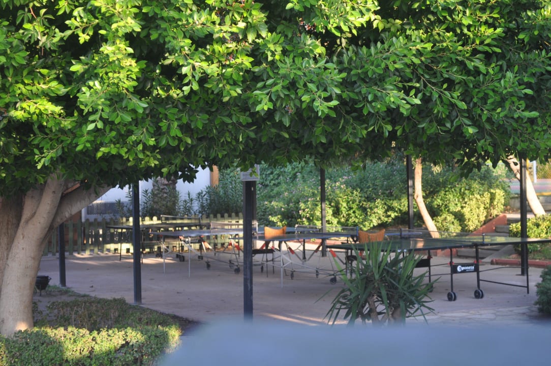 Ping pong area Asteria Family Belek