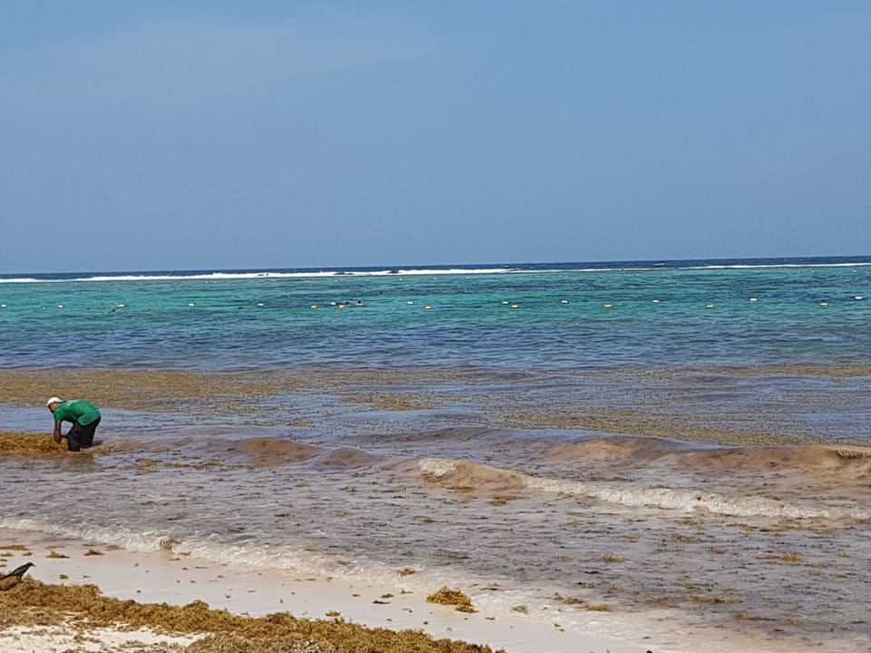 Strand Akumal Bay Beach & Wellness Resort