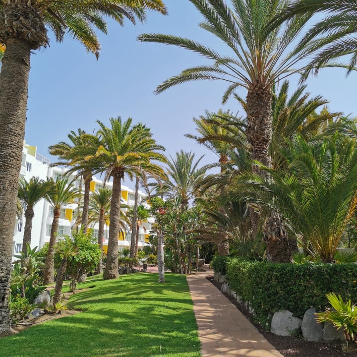 Gartenanlage Abora Catarina by Lopesan Hotels