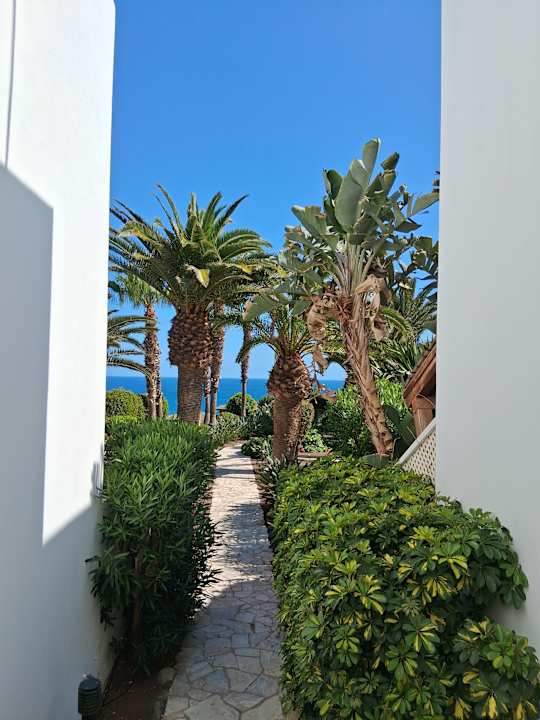 Gartenanlage Marina Playa Suite Hotel