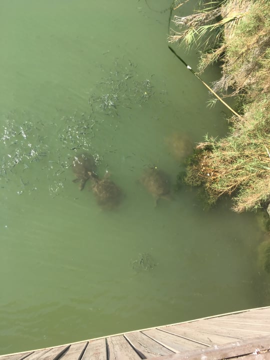 Strand Sentido Trendy Verbena Beach