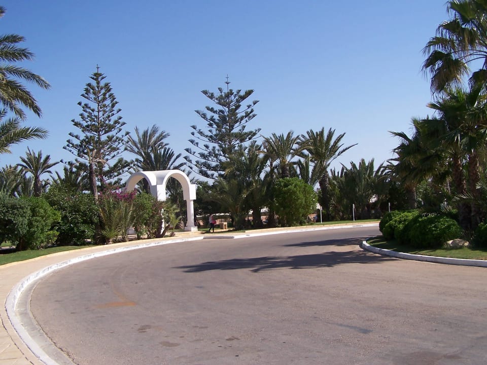 Eine grüne Pracht Radisson Blu Palace Resort & Thalasso Djerba