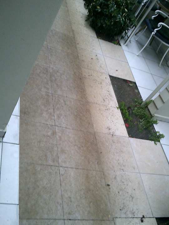 Gartenanlage Side Miami Beach