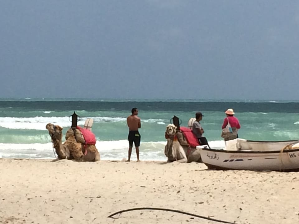 Strand Hotel Djerba Resort