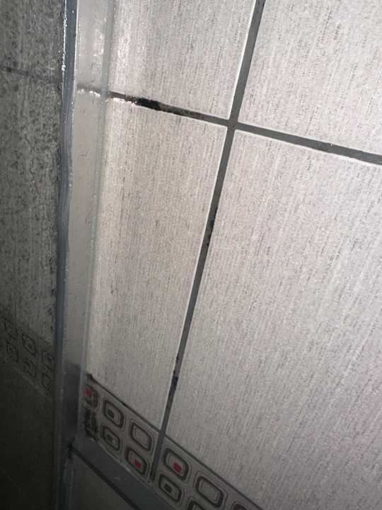 Zimmer Kamelya Aishen Club