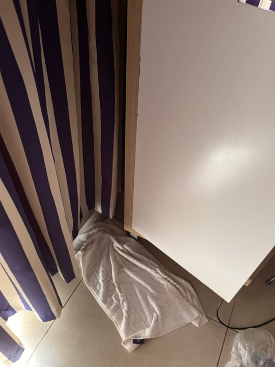 Zimmer AQI Pegasos World