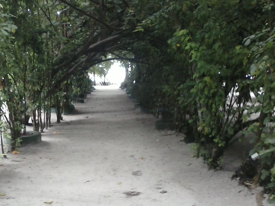 Zur Anlegestelle Embudu Village