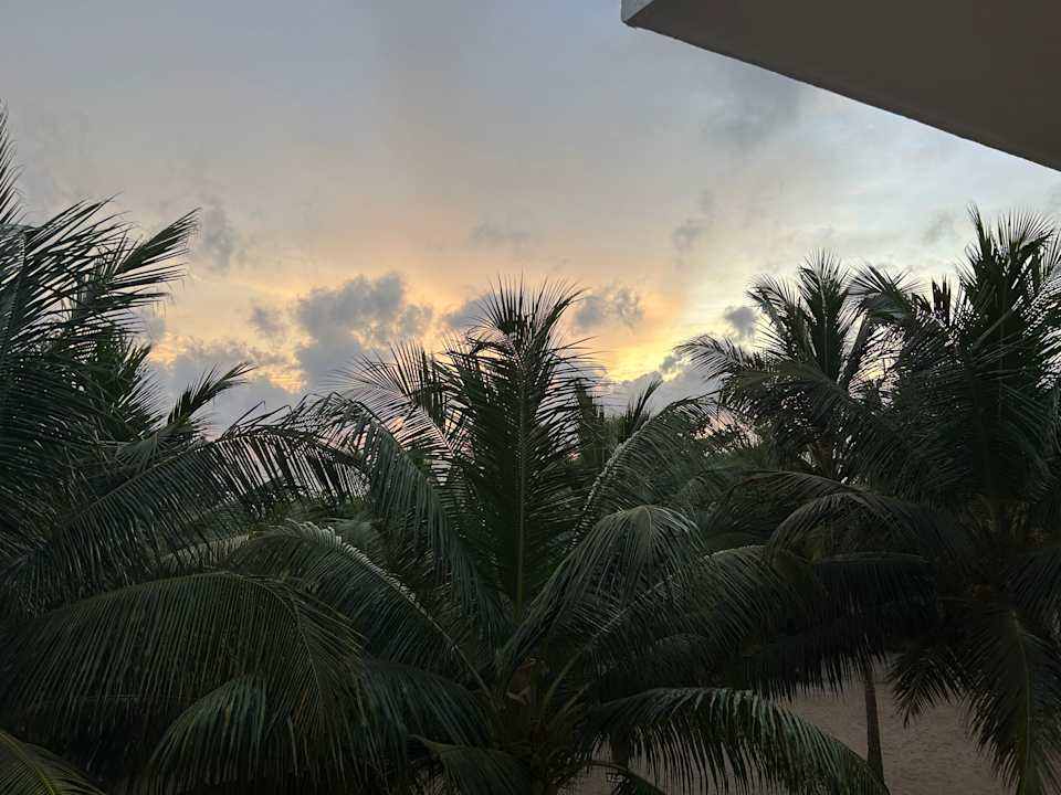 Ausblick Hotel Riu Sri Lanka