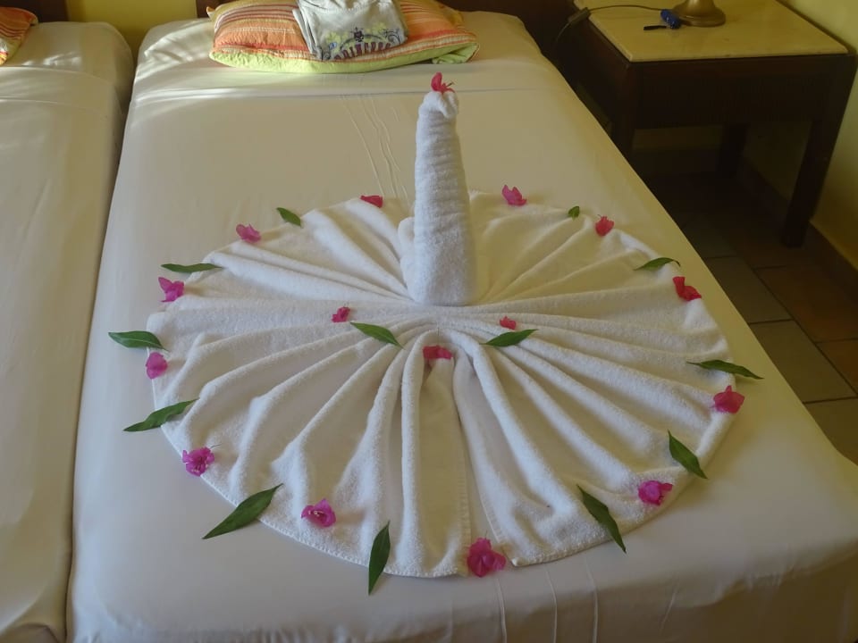 Jeden Tag eine andere Überraschung Jaz Solaya