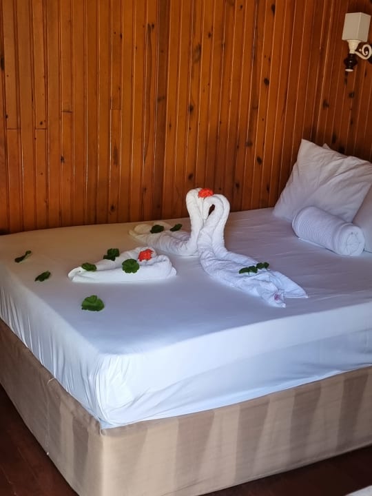 Zimmer Clover Magic Nova Beach