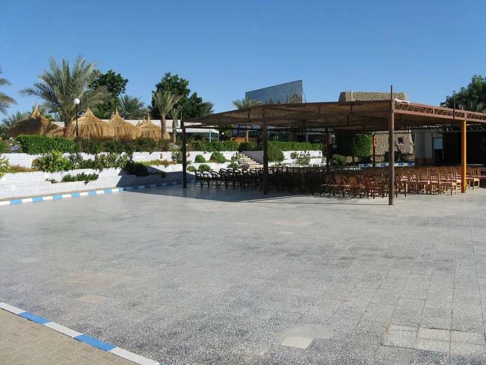 Hier finden die Shows statt Albatros Sharm Resort