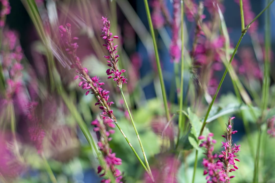 Gartenanlage Vitalhotel Quellengarten