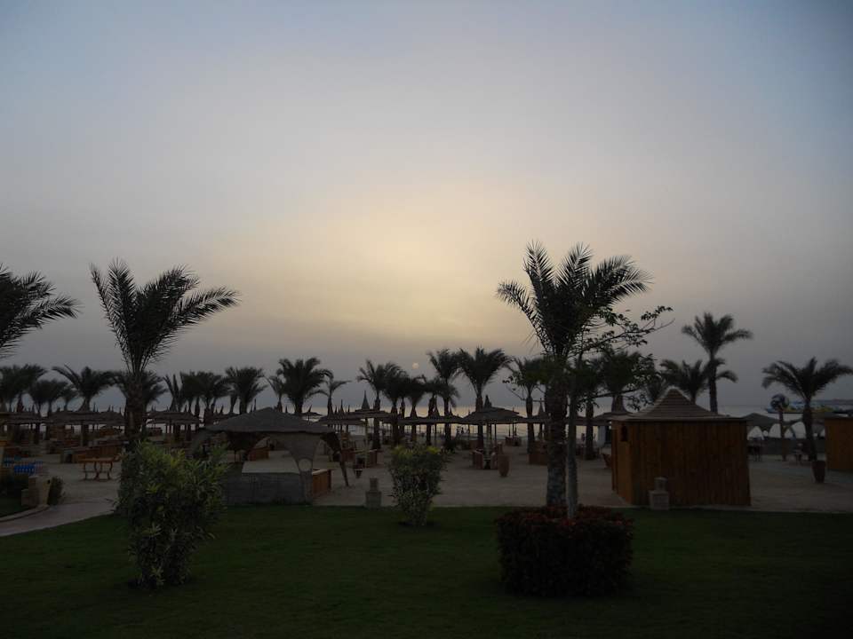 Sonnenaufgang Pickalbatros Palace Resort
