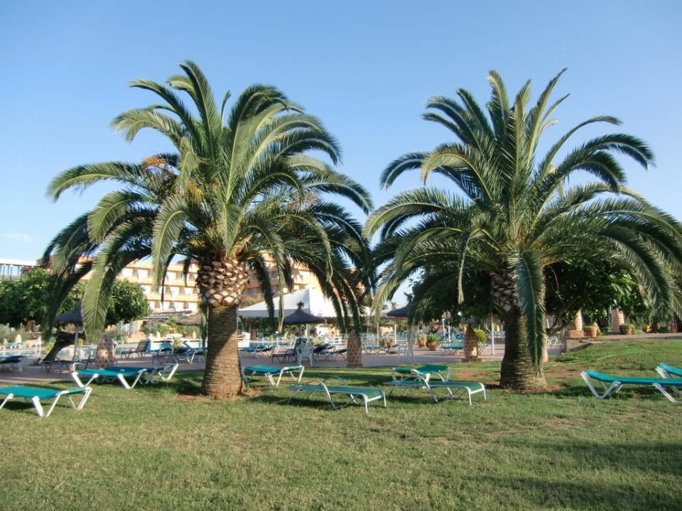 Schattenspender Hotel Mariant Park