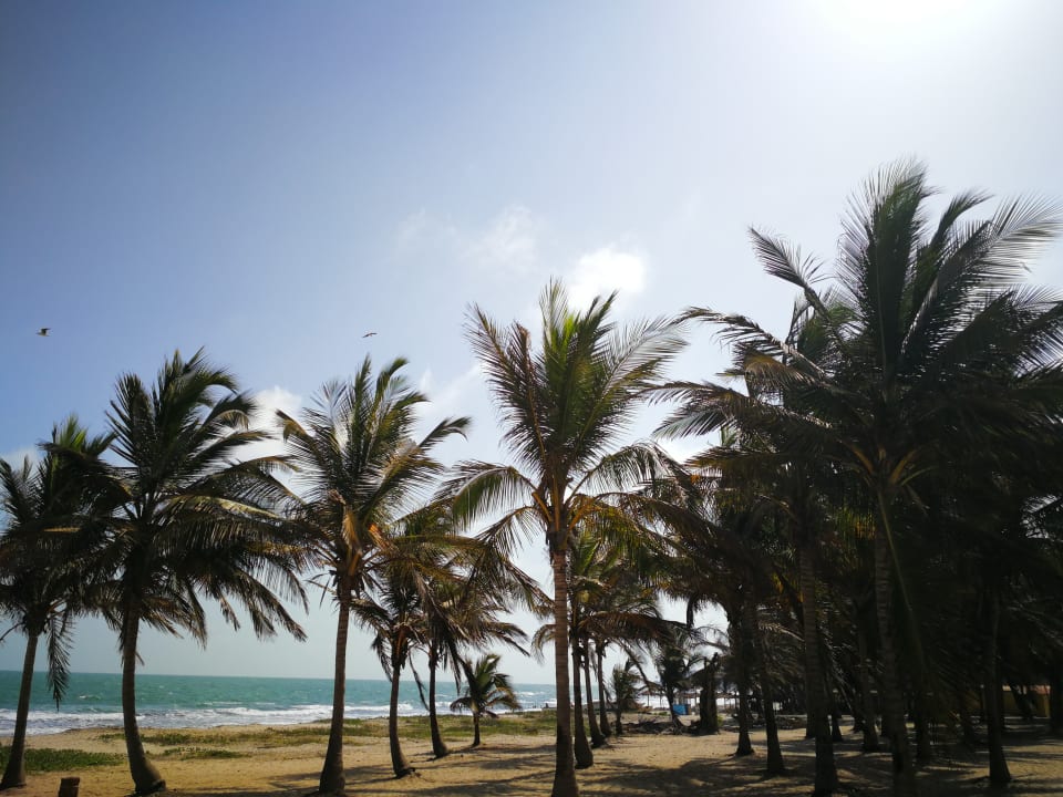 Strand TUI BLUE Tamala