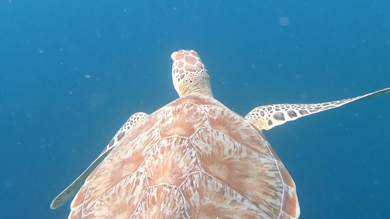 Sport & Freizeit NH Collection Maldives Reethi Resort