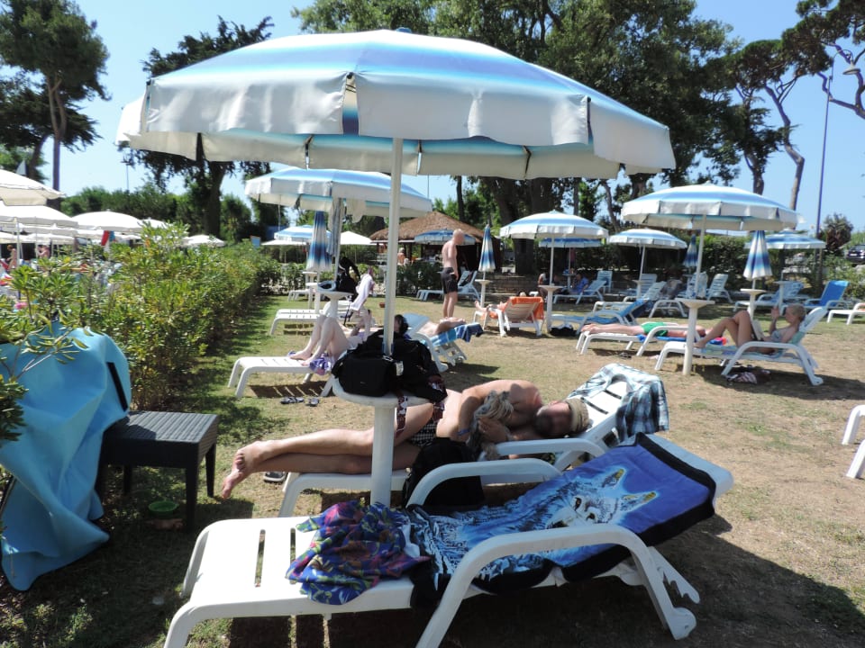 Já na psí pláži Park Albatros Village