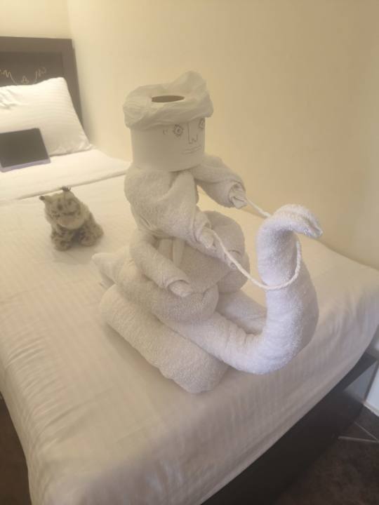 Zimmer Three Corners Sea Beach Resort