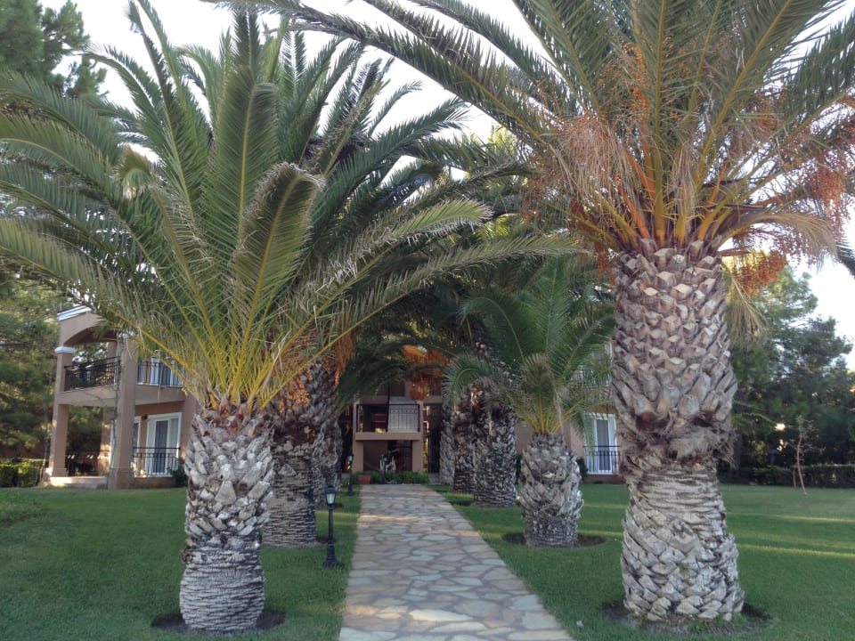 Luxus Appartment Pirate's Beach Club