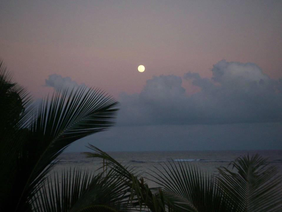 Blick in den Garten am Abend Villa Dorado