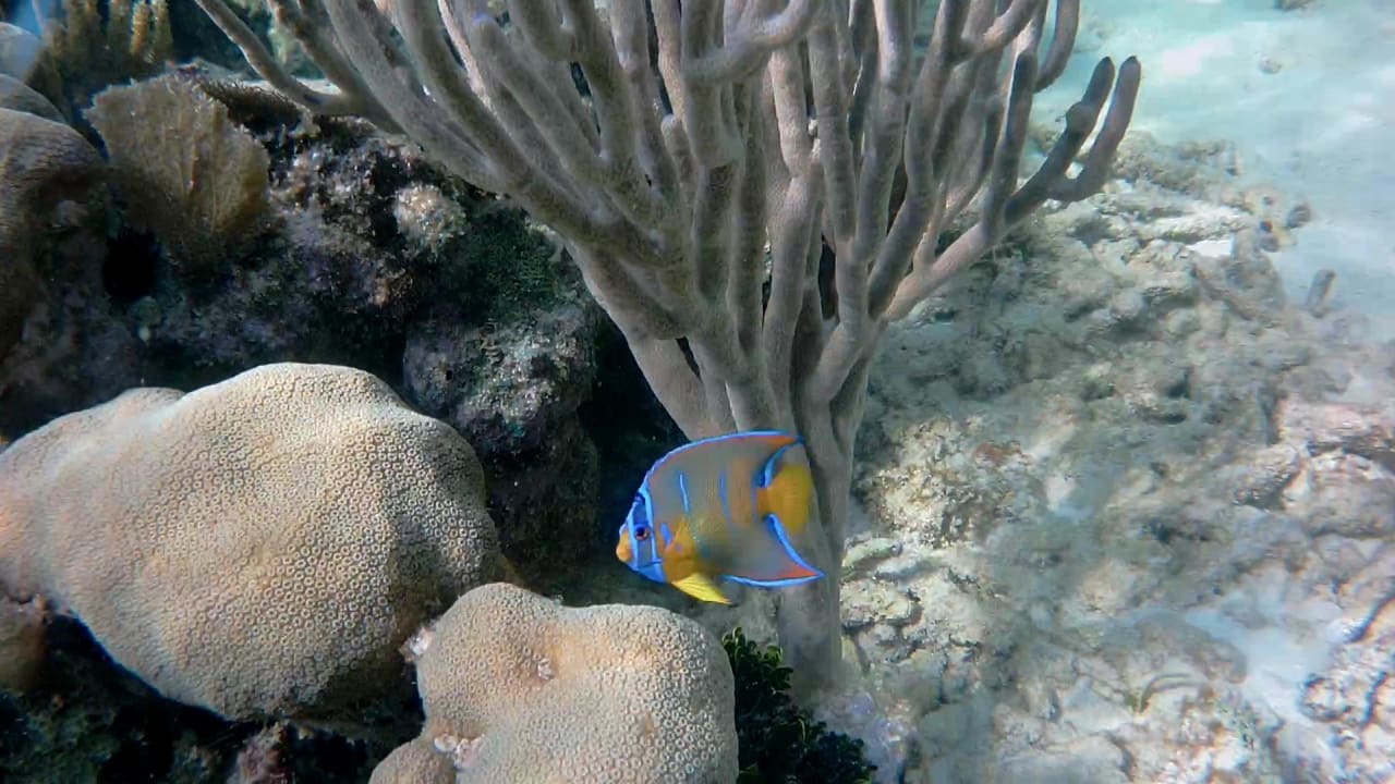 Sport & Freizeit Akumal Bay Beach & Wellness Resort