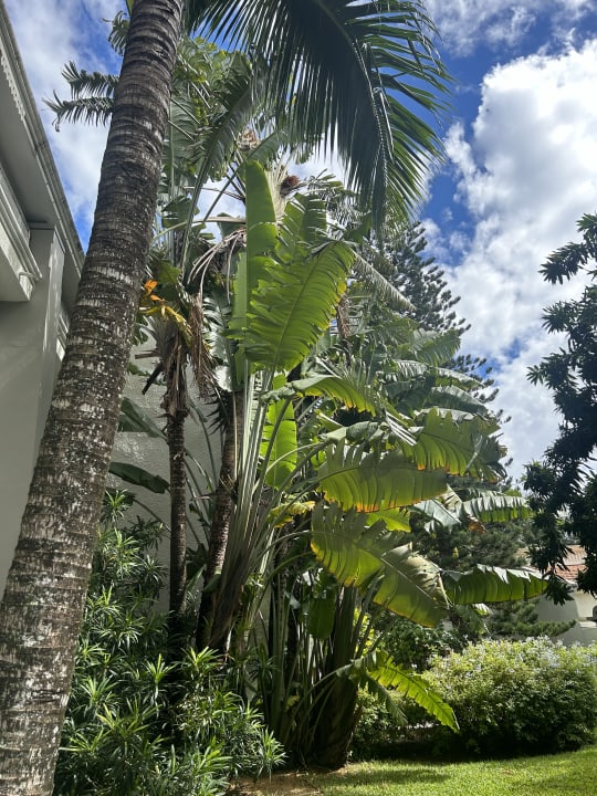 Gartenanlage Mauricia Beachcomber Resort & Spa