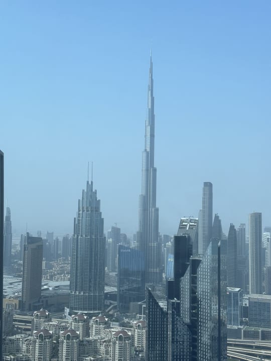 Ausblik Rose Rayhaan by Rotana