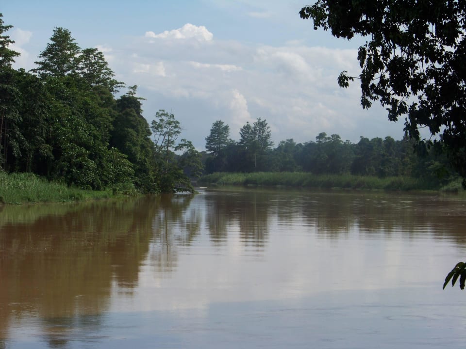 Ausblick Borneo Natural Sukau Bilit Resort