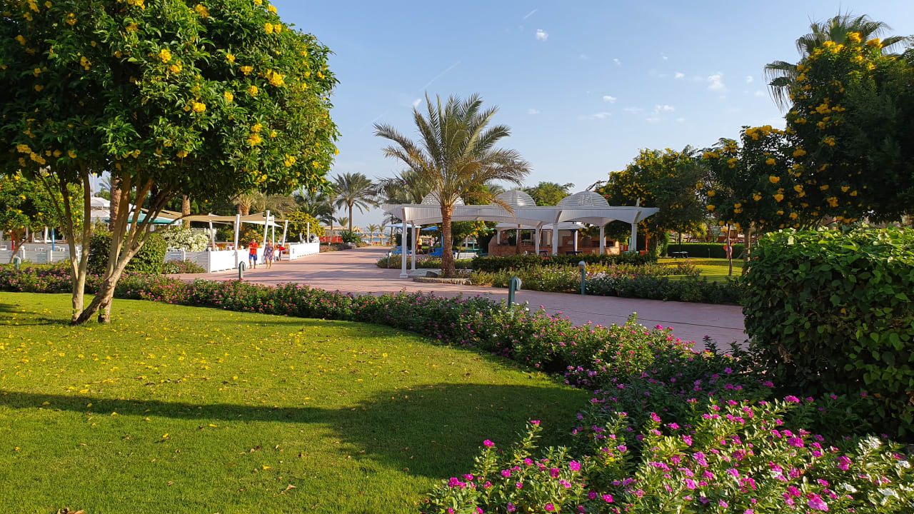 Gartenanlage Desert Rose