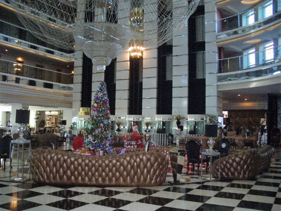 Loppy mit Weihnachtsbaum Hotel Delphin Imperial