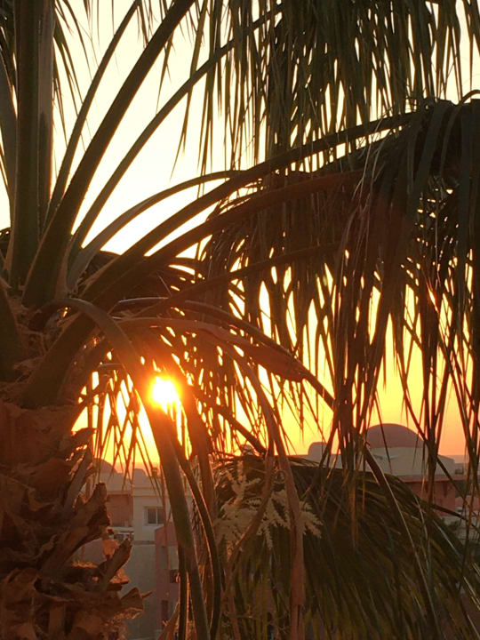 Ausblick Serenity Alpha Beach