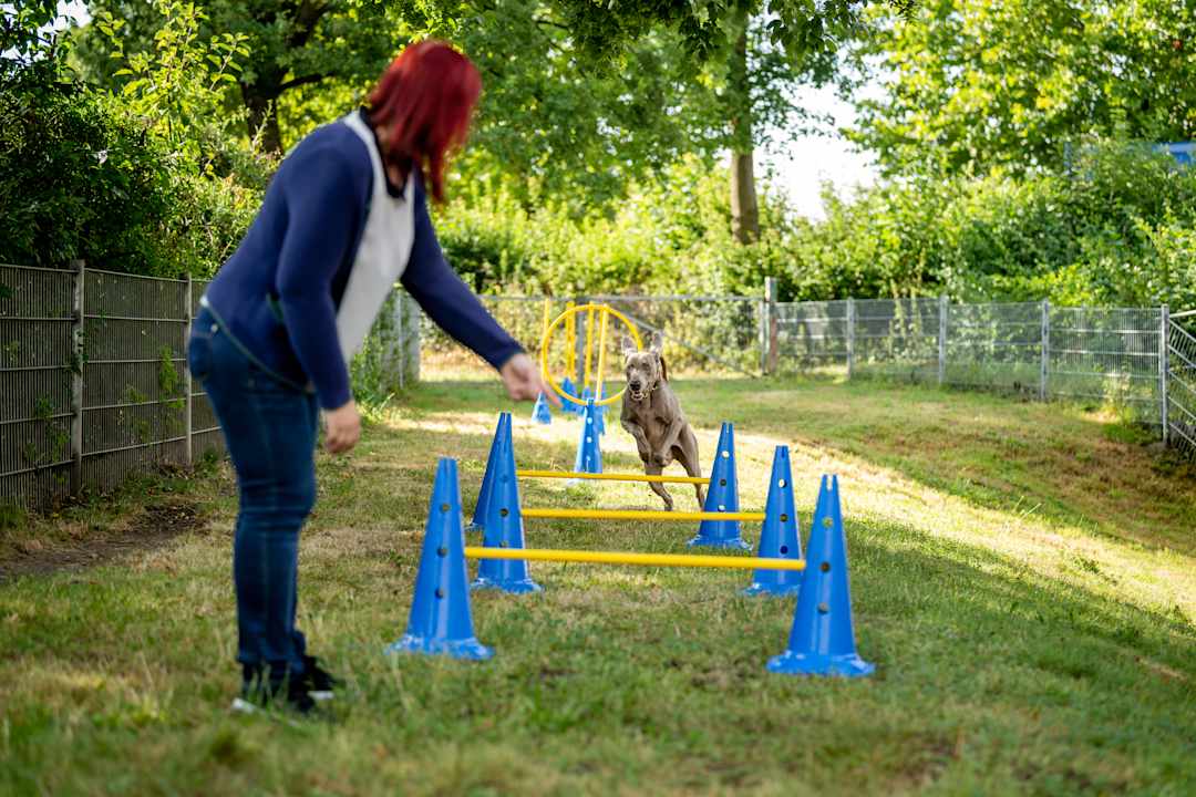 Sport & Freizeit Hotel Haslinger Hof
