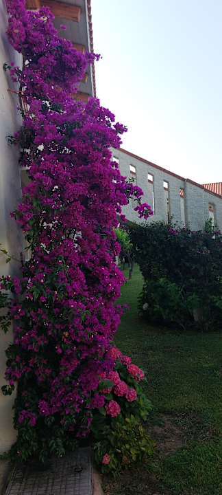 Gartenanlage Club Esse Cala Bitta
