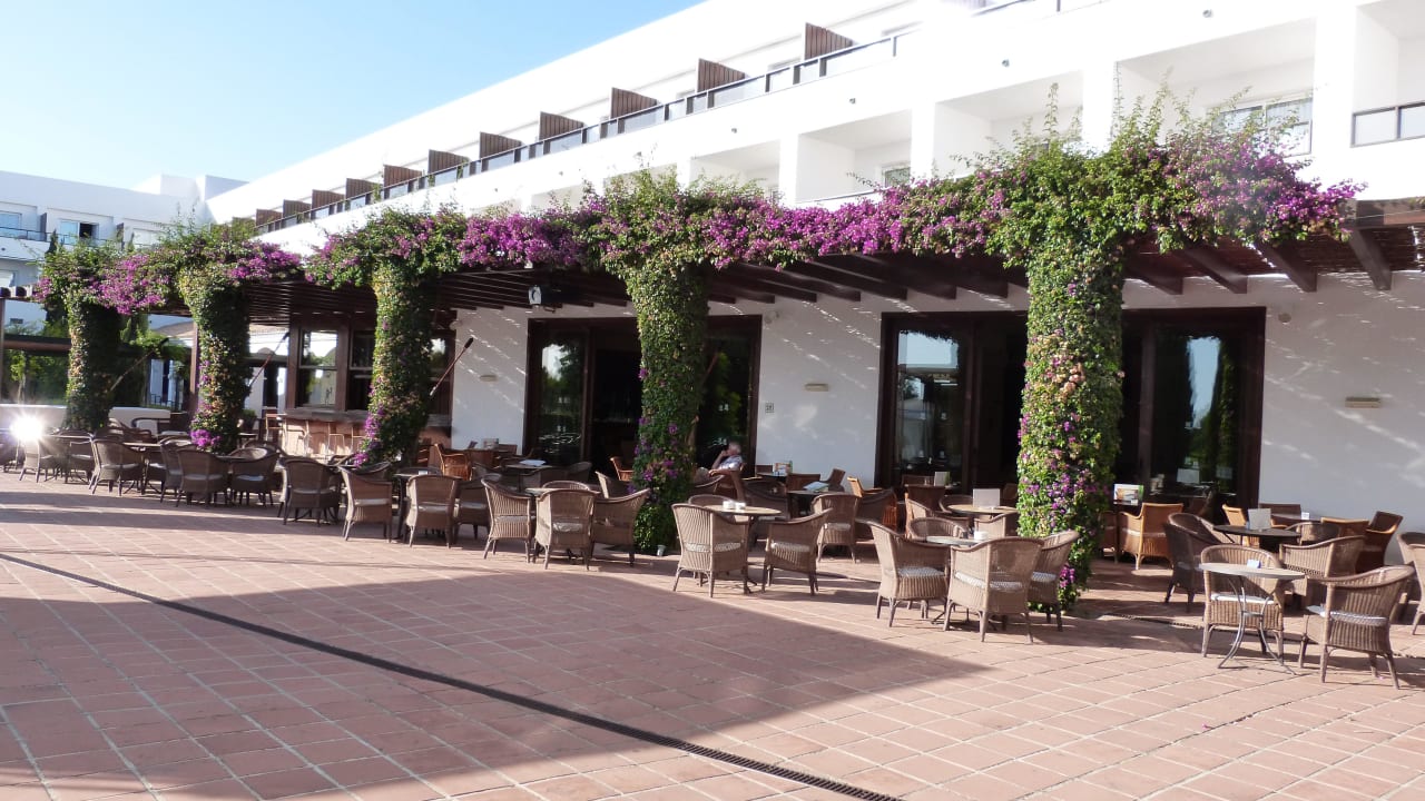 Barbereich Fuerte Conil-Resort