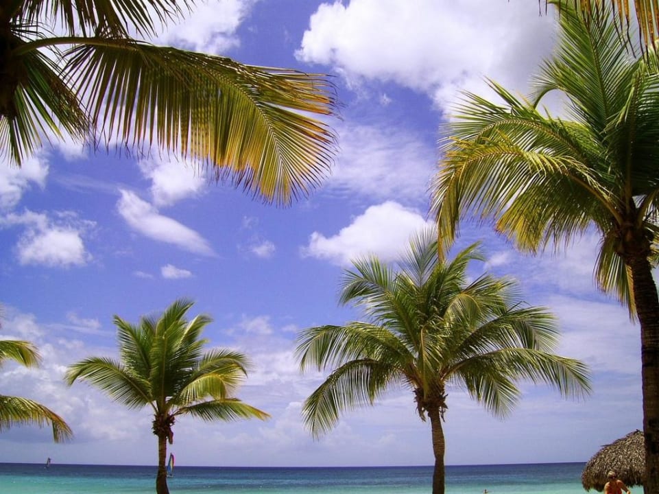 Blick von der Liege Hotel Viva Dominicus Palace by Wyndham-All Inclusive Resort