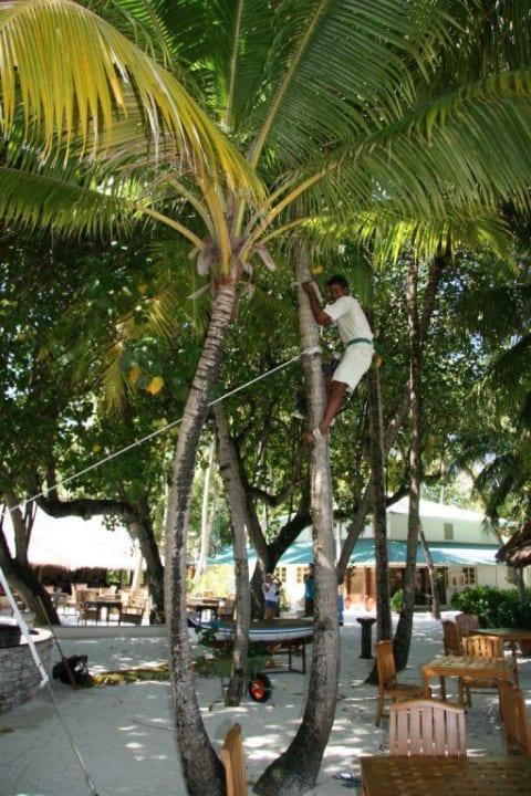 Banyan Tree, Vabbinfaru Banyan Tree Vabbinfaru
