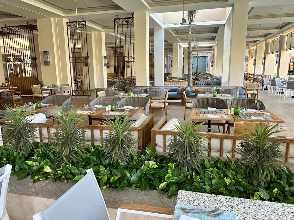 Gastro JAZ Elite Asteria