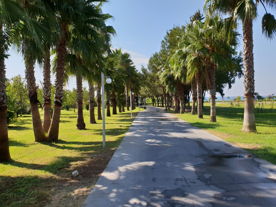 Gartenanlage Club Grand Aqua