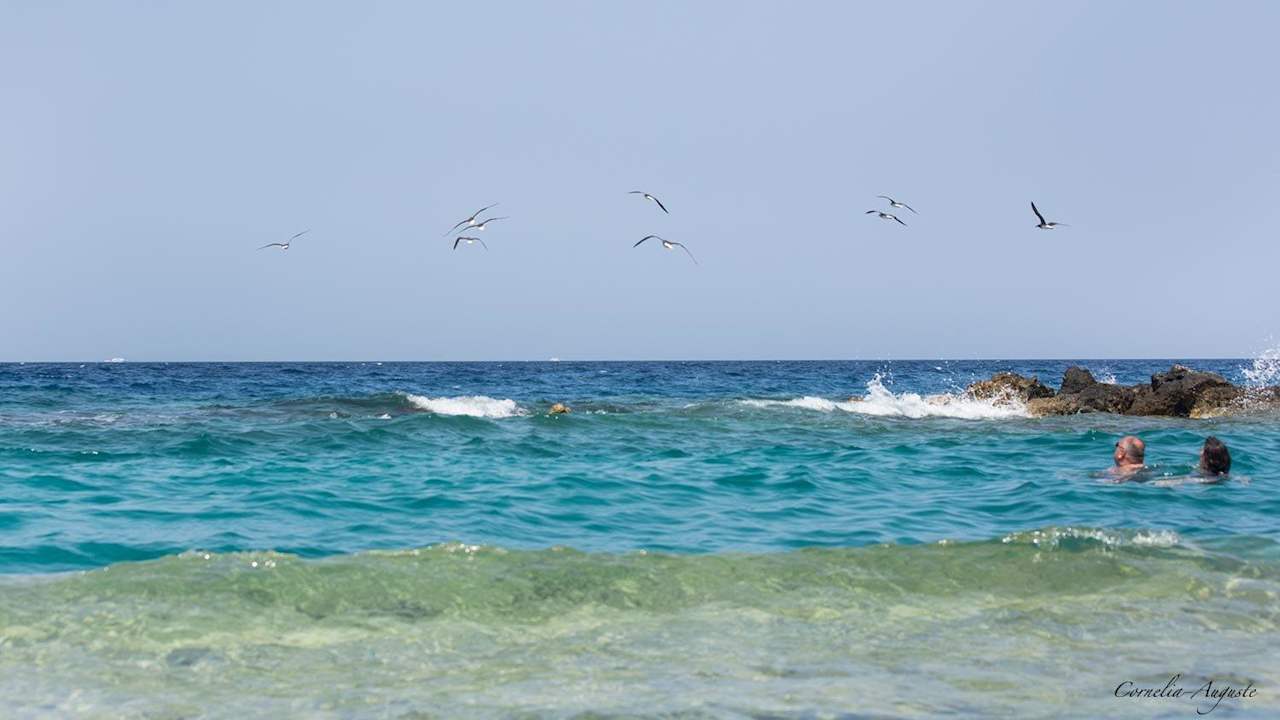 Blick auf die Lagune Pickalbatros Citadel Resort