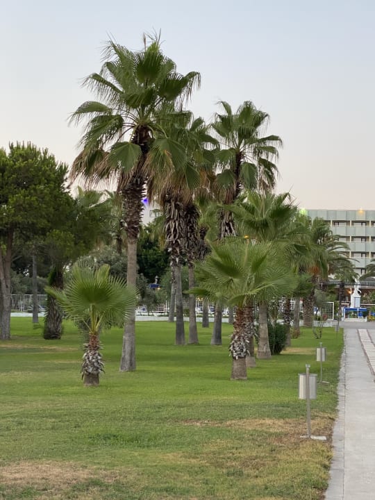 Gartenanlage Süral Saray Hotel