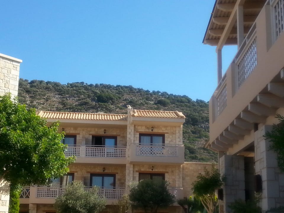 Blick in die Berge Cactus Royal