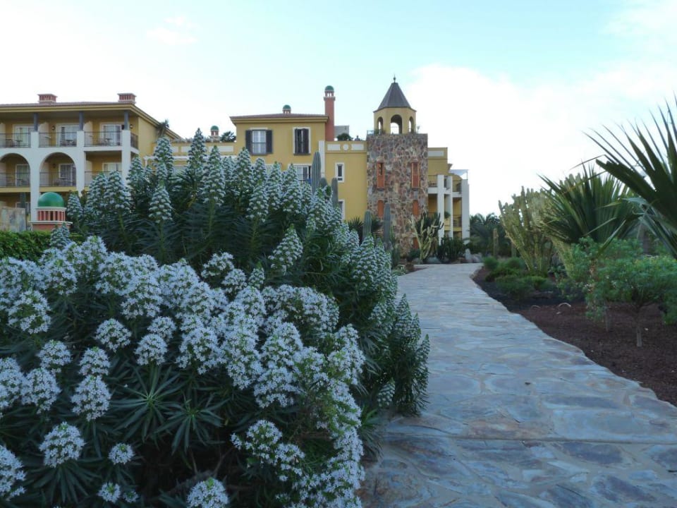 Wunderschöner Garten Hotel Cordial Mogán Playa