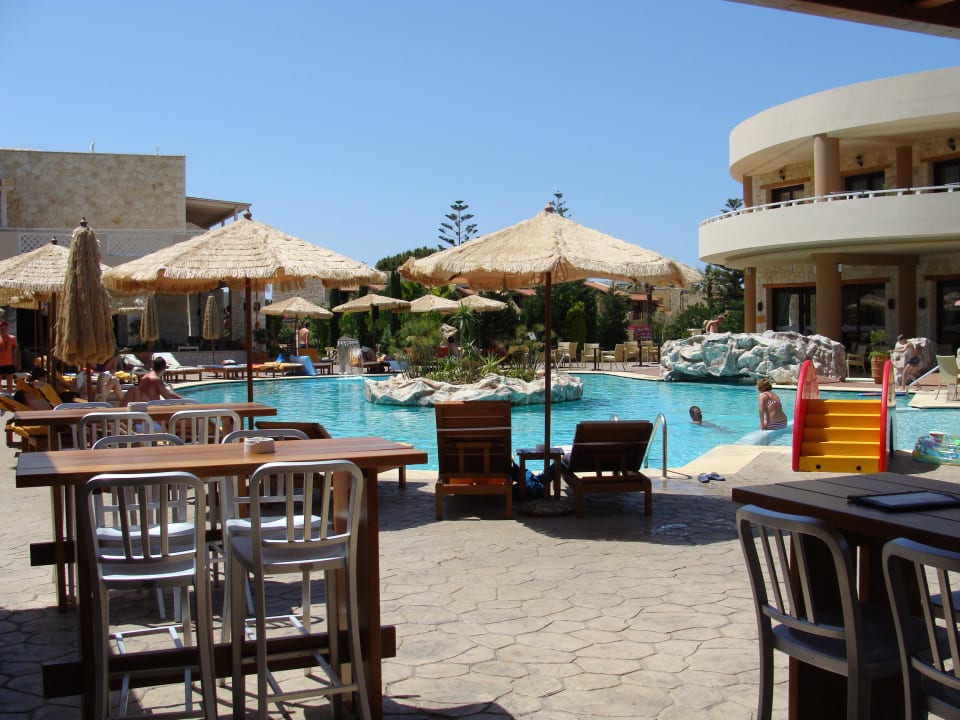 Der Pool Cactus Royal