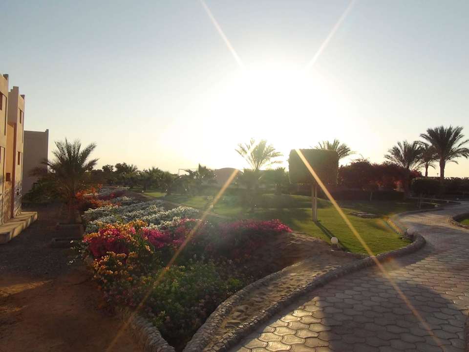 Ogród Three Corners Sea Beach Resort