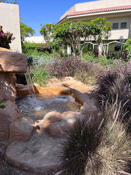 Gartenanlage Lotus Bay Beach Resort