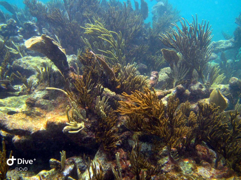 Sport & Freizeit Akumal Bay Beach & Wellness Resort