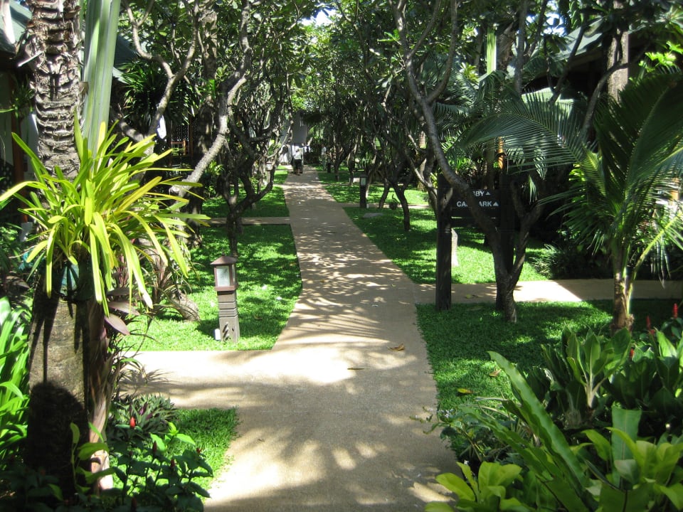 Weg zum Pool Banana Fan Sea Resort