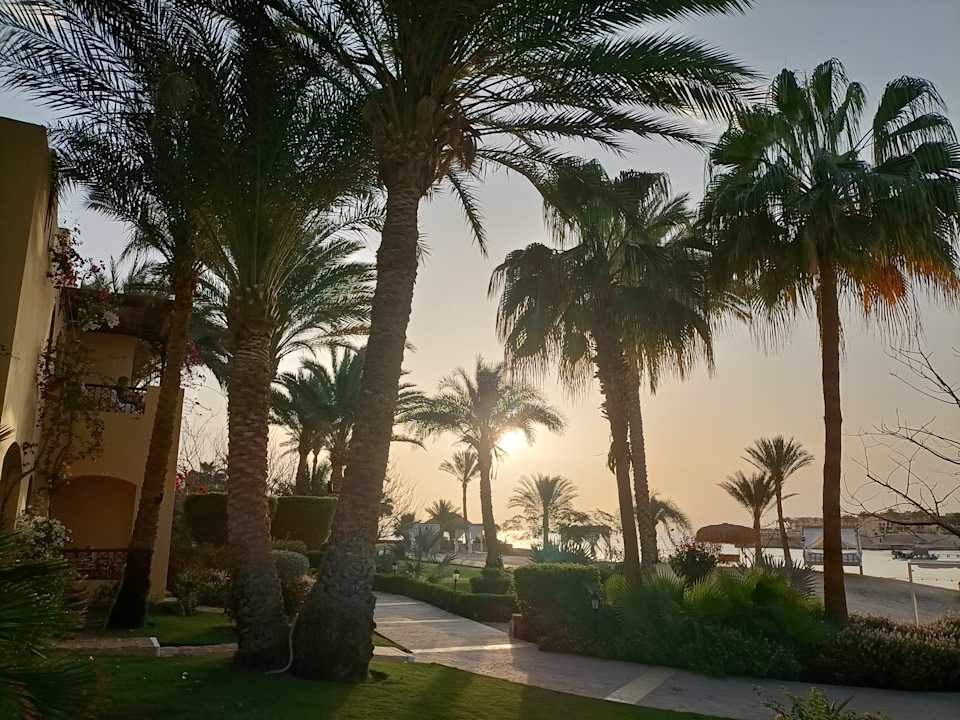 Ausblick Steigenberger Coraya Beach - Adults only