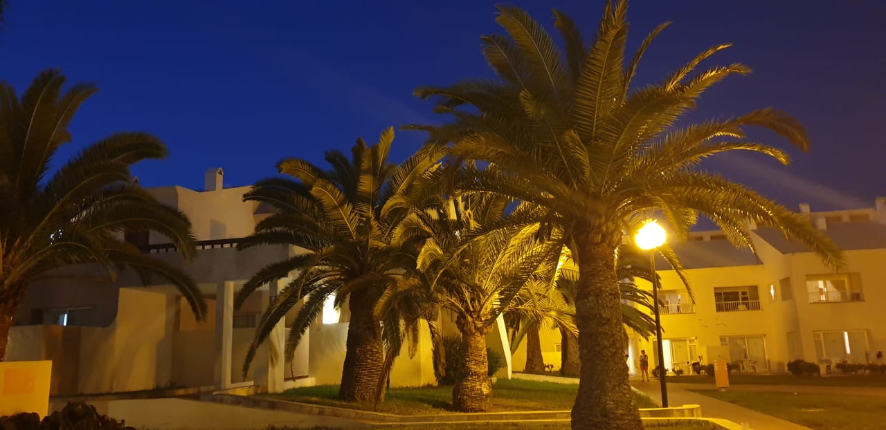 Gartenanlage Hotel Riu Oliva Beach - Hotel