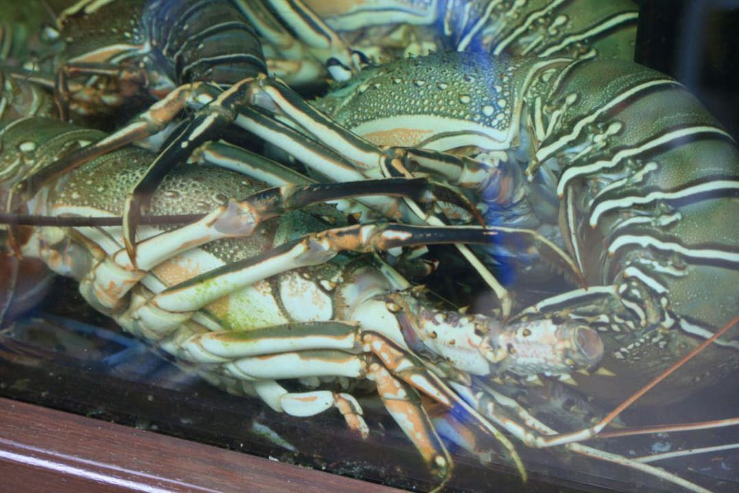 Gleich bist DU dran Seaside Hotel Palm Beach